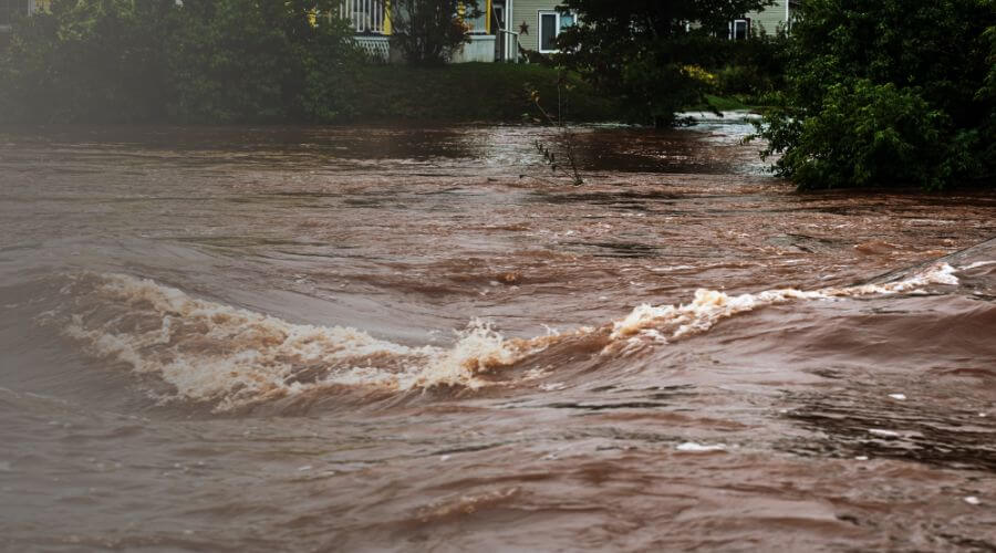 Why choose water damage restoration service for basement flood restoration services in San Francisco